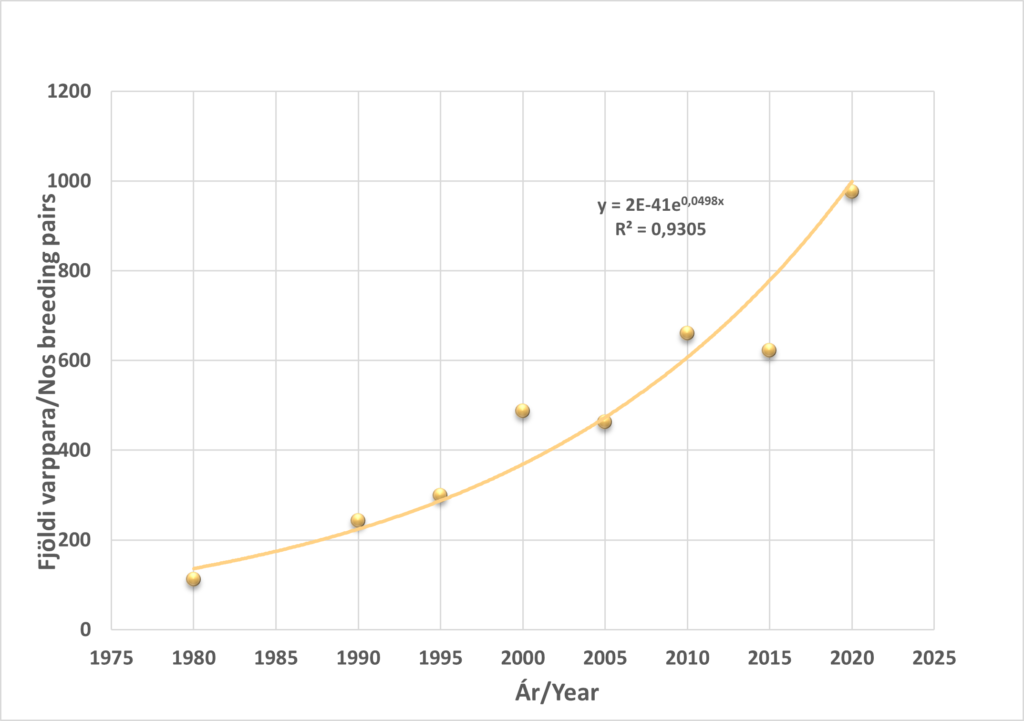 6. mynd. Framvinda stormmáfsstofnsins í Eyjafirði frá 1980 til 2020 hefur fylgt veldisvexti. Aðhvarf kúrfunnar er mjög gott eins og sést á R2-gildi á línuritinu en einnig er gefin upp jafna fyrir línuferlin.-The progress of the Common Gull population in Eyjafjörður (N-Iceland) 1980-2020 follows an exponential growth. The gregression is very good, as shown by the R2-value on the graph. The formula for the line is also shown.