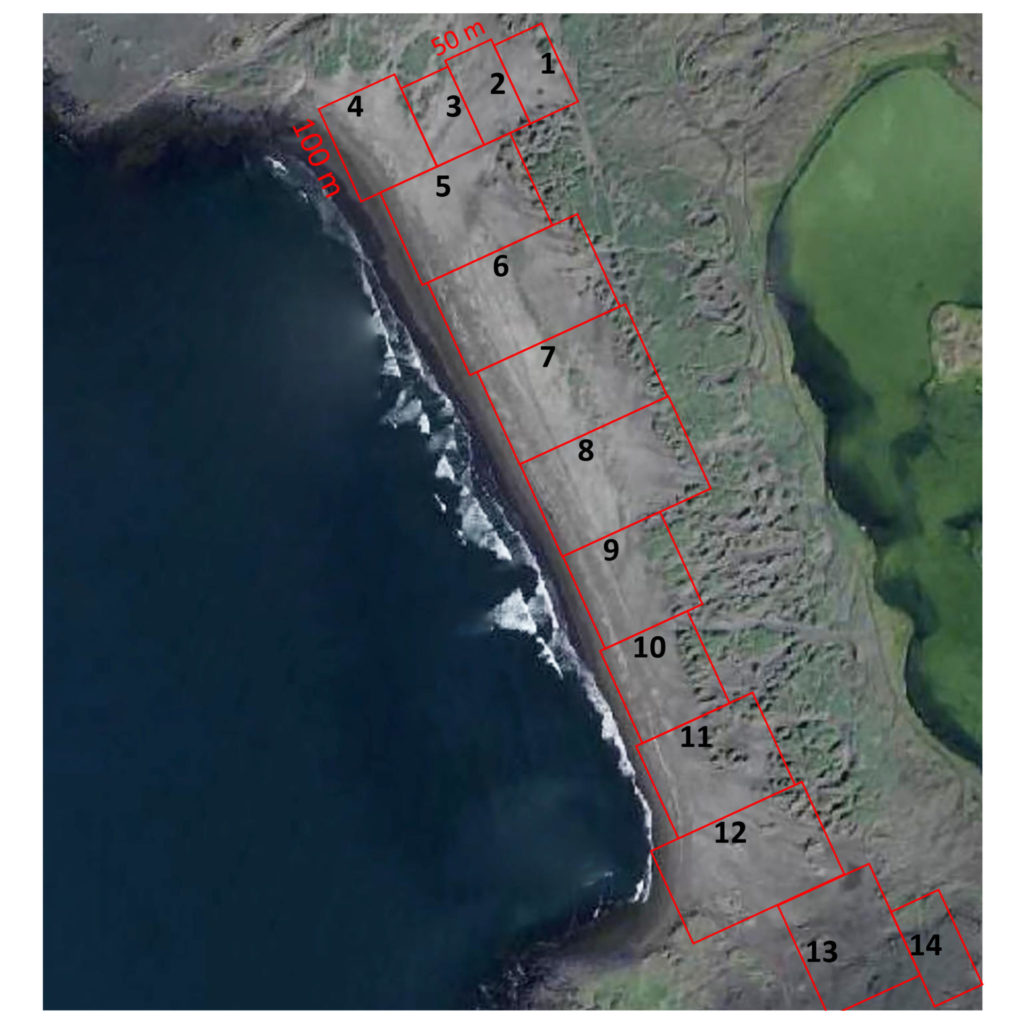 3. mynd. Loftmynd af Stóru Sandvík. Sýnder skipting fjörunnar í reiti 1–14. Staður reitatölunnar sýnir frá hvaða hlið reits hlutsýni var tekið. Myndin er fengin af vef Loftmynda ehf. – An aerial view of Stóra Sandvík indicating the division of the shore into subareas 1–14. The position of the numbers indicates from which side of each subarea a subsample was taken.