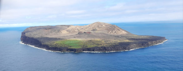1. mynd. Surtsey úr suðri, móbergshæðir, gígar, hraunbreiður og sjávarhamrar. Þéttur gróður í varpi máfa og fýls á syðsta hluta eyjarinnar sker sig úr. - Aerial view of Surtsey from south, palagonite hills, craters, lava shields and sea cliffs. Green areas are affected by breeding seabirds. Ljósm./Photo: Borgþór Magnússon, júlí 2020.