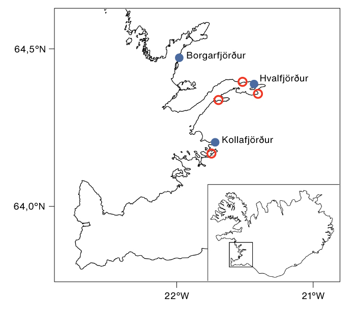 2. mynd. Fundarstaðir lifandi og dauðra sindraskelja á Íslandi á tímabilinu maí 2019 til júlí 2022, alls sjö. Bláu punktarnir þrír sýna fundarstaðina þar sem lífsýni voru tekin úr lifandi samlokum til tegundarákvörðunar með erfðagreiningu. – Finds of living and dead Ensis terranovensis in Faxaflói bay, Iceland, over the period May 2019 to June 2023, in total 7 locations. Blue dots show locations of living clams used in DNA-analysis for species identification.