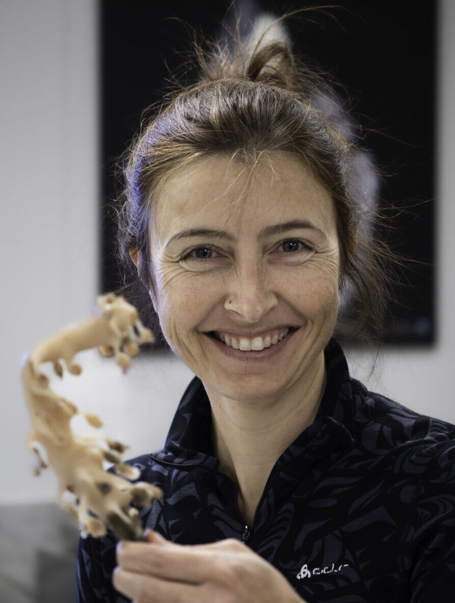 Laure de Montety